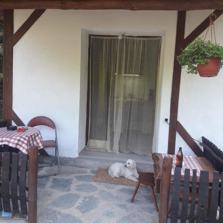 Sljivik Guest House Nis Ngoại thất bức ảnh